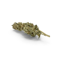Cannabis Branch PNG & PSD Images