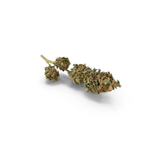 Cannabis Branch PNG & PSD Images