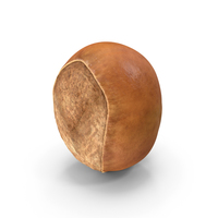 Shea Nut PNG & PSD Images