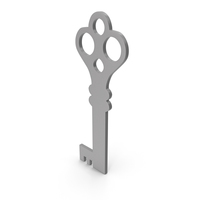 Key Grey Icon PNG & PSD Images