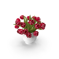 Red Tulips Bouquet in Vase PNG & PSD Images