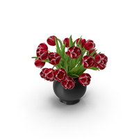 Red Tulips Bouquet in Vase PNG & PSD Images