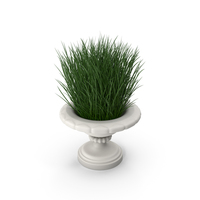 Architectural Module Vase with Plants PNG & PSD Images