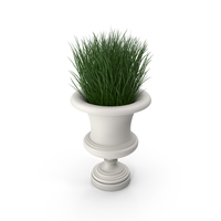 Architectural Module Vase with Plants PNG & PSD Images