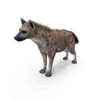 Hyena Neutral Pose PNG & PSD Images