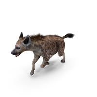 Hyena Running Pose PNG & PSD Images