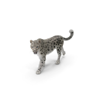 Snow Leopard Walking Pose PNG & PSD Images
