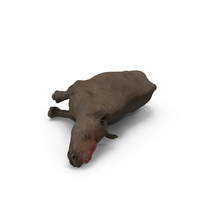 Dead Rhino PNG & PSD Images