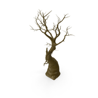 Leafless Tree PNG & PSD Images
