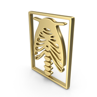 Logo Xray Chest Gold PNG & PSD Images