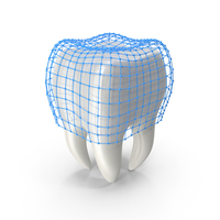 Human Tooth with Protection Grid PNG & PSD Images