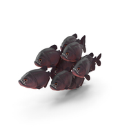 Cartoon Piranha Shoal PNG & PSD Images