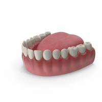 Teeth Tongue Medical Model With Dental Implant PNG & PSD Images