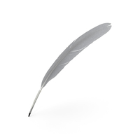 White Goose Feather PNG & PSD Images