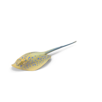 Blue Spotted Stingray PNG & PSD Images