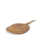 Freshwater Stingray PNG & PSD Images