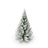 Winter Snow Spruce Tree PNG & PSD Images