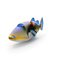 Picasso Trigger Fish PNG & PSD Images