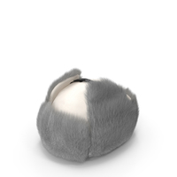 Trapper Winter Hat White Fur PNG & PSD Images