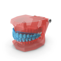 Typodont with Transparent Removable Retainer PNG & PSD Images