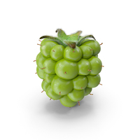 Unripe Green Blackberry PNG & PSD Images