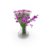Pink Flowers PNG & PSD Images