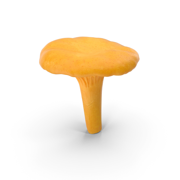 Young Yellow Chanterelle PNG & PSD Images