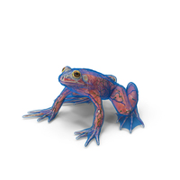 Frog PNG Images & PSDs for Download