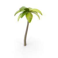Beach Tree PNG & PSD Images