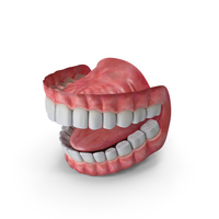 Mouth PNG & PSD Images