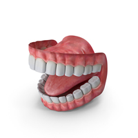 Mouth PNG & PSD Images