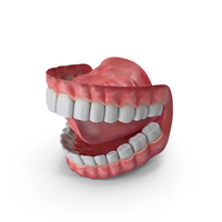 Mouth PNG & PSD Images