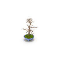 Bare Bonsai Tree in Pot Fur PNG & PSD Images