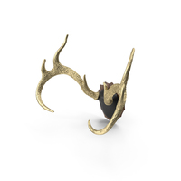 Gold Plated Stag Antlers on a Wall Mount PNG & PSD Images