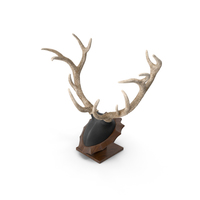 Red Deer Stag Antlers on a Pedestal PNG & PSD Images