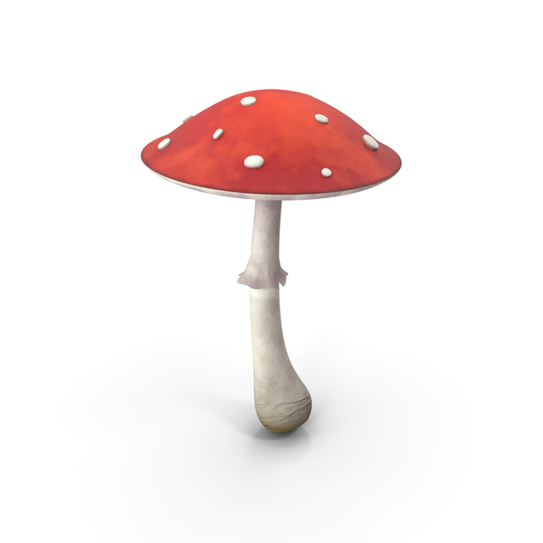 Cartoon Mushroom PNG & PSD Images