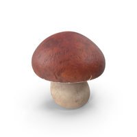 Cartoon Mushroom PNG & PSD Images