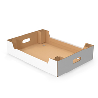 Corrugated Tray Box for Vegetables And Fruits PNG & PSD Images