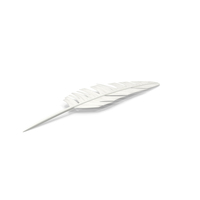 Feather Cartoon PNG & PSD Images