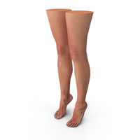 Female Legs High Heels PNG & PSD Images
