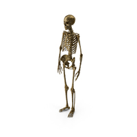 Golden Ancient Skeleton PNG & PSD Images