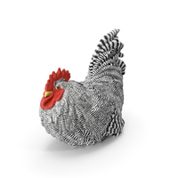 Black and White Rooster PNG & PSD Images