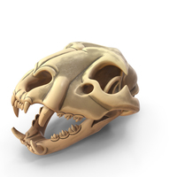 Stylized Lion Skull PNG & PSD Images