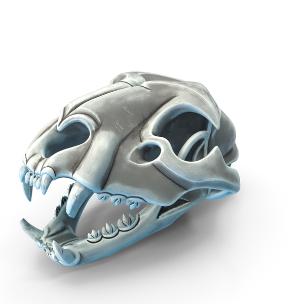 Stylized Lion Skull PNG & PSD Images