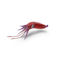 Cartoon Squid PNG & PSD Images