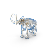Adult Mammoth Clean Skeleton Shell Roar PNG & PSD Images