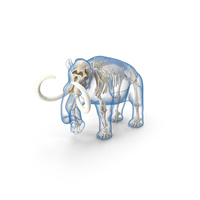 Adult Mammoth Clean Skeleton Shell Walking Pose PNG & PSD Images