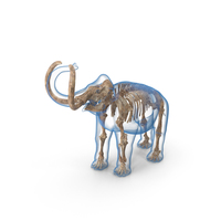 Adult Mammoth Old Skeleton Shell Roar PNG & PSD Images