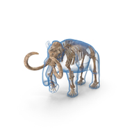 Adult Mammoth Old Skeleton Shell Walking Pose PNG & PSD Images