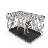 Kennel Cage with Jack Russell Terrier Fur PNG & PSD Images